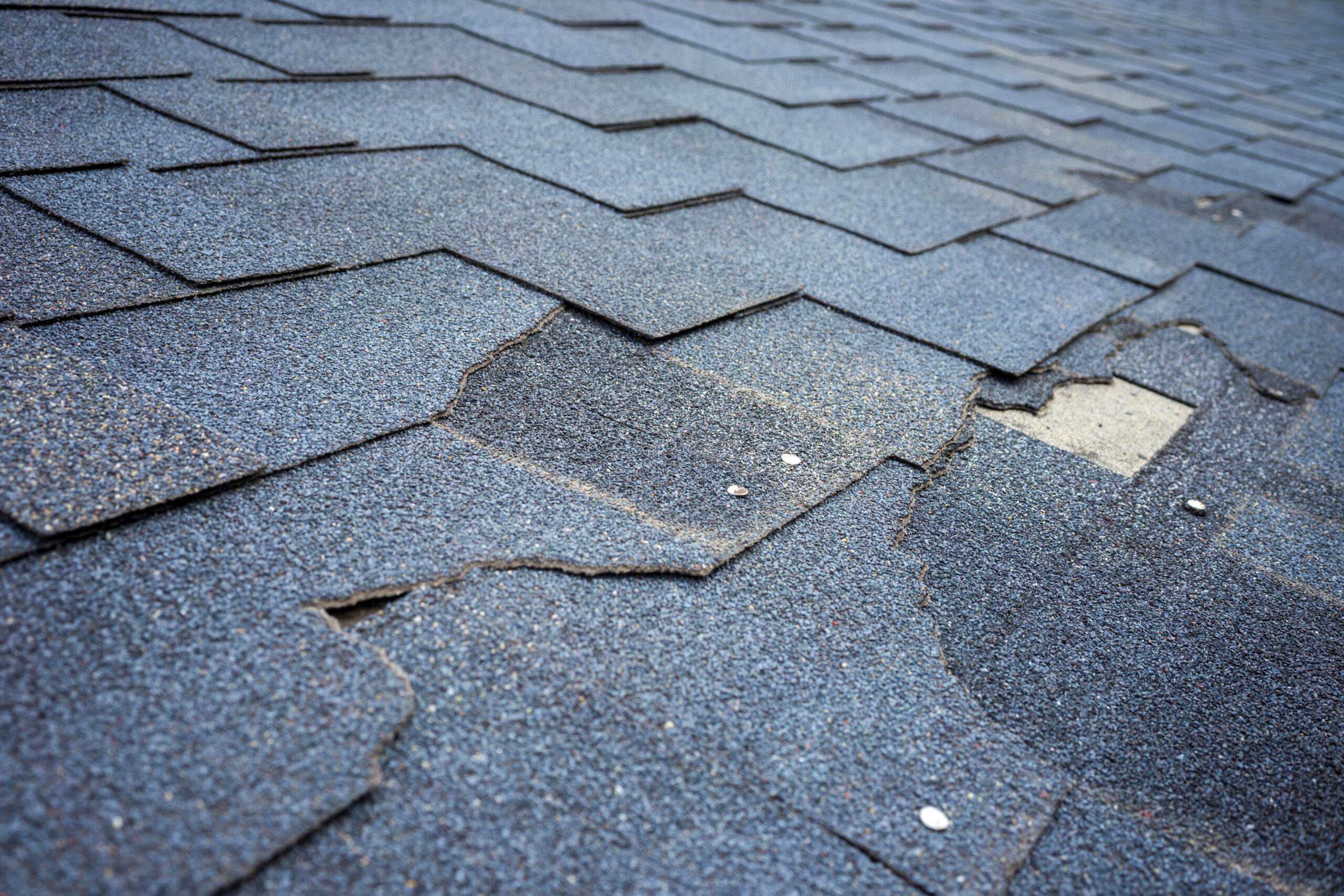 Roof Leak Repair-Auburn-WA